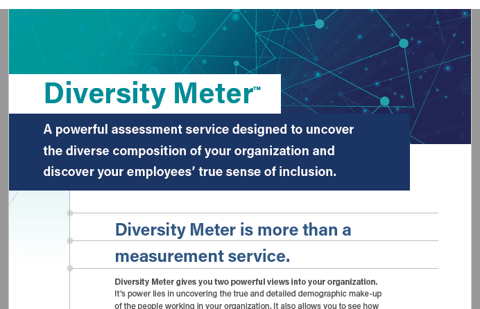 Diversity Meter Image